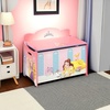 image:imageDelta Children Deluxe Toy Box DisneyPixar CarsDisney Princess