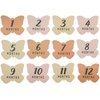 image:imageDelta Children Milestone Baby Blanket  Monthly Blanket for Pictures  Photo Blanket for Newborns FloralFloral