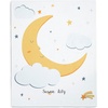 image:imageDelta Children Personalized Milestone Baby Blanket  Monthly Blanket for Pictures  Photo Blanket for Newborns Moon
