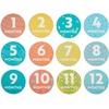 image:imageDelta Children Personalized Milestone Baby Blanket  Monthly Blanket for Pictures  Photo Blanket for Newborns Space