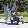 image:imageJeep Sport AllTerrain Stroller Wagon by Delta Children  Includes Canopy Parent Organizer Adjustable Handlebar Snack Tray amp Cup Holders GreyBlue Moon