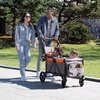 image:imageJeep Sport AllTerrain Stroller Wagon by Delta Children  Includes Canopy Parent Organizer Adjustable Handlebar Snack Tray amp Cup Holders GreyBonfire