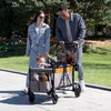image:imageJeep Sport AllTerrain Stroller Wagon by Delta Children  Includes Canopy Parent Organizer Adjustable Handlebar Snack Tray amp Cup Holders GreyBonfire