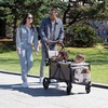 image:imageJeep Sport AllTerrain Stroller Wagon by Delta Children  Includes Canopy Parent Organizer Adjustable Handlebar Snack Tray amp Cup Holders GreyOlive GreenAllTerrain