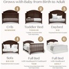image:imageDelta Children Perry 6in1 Convertible Crib  Greenguard Gold Certified Moonstruck GreyWalnut Espresso