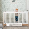 image:imageGAP babyGap Tate 4in1 Convertible Crib  Greenguard Gold Certified EbonyNaturalBianca White