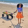 image:imageJeep Wrangler Classic Kids Wagon by Delta Children  Rolling Utility Cart with AllTerrain Tires FoldUnder Handle Steel Body Pull Wagon for Outdoor Play Olive Green Willys Jeep Heritage Design