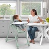 image:imageLittle Folks by Delta Children 2in1 SlimFold High Chair for Babies and Toddlers BlackSage Green