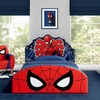 Marvel Spider-man