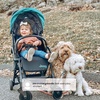 image:imageJeep Breeze Stroller by Delta Children  Lightweight Stroller Features Compact OneHand Fold Oversized Canopy Recline and Shock Absorbing Frame Sapling