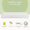 image:imageDelta Children 3D Toddler Bed amp Mattress Bluey  2Piece Toddler Furniture Set Includes Toddler Bed with Guardrails  Waterproof Toddler Mattress GREENGUARD Gold CertifiedSpidey and His Amazing Friends
