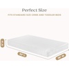 image:imageDelta Children 3D Toddler Bed amp Mattress Bluey  2Piece Toddler Furniture Set Includes Toddler Bed with Guardrails  Waterproof Toddler Mattress GREENGUARD Gold CertifiedSpidey and His Amazing Friends